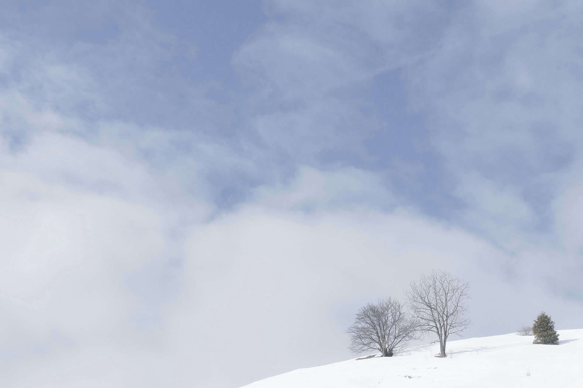 Oisans et Vercors
