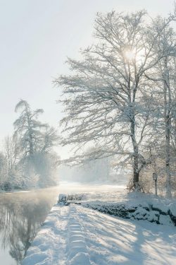 Au pays des rêveurs Lumière éclatante sous la neige à la Pommeraie sur Sèvre 6 janvier 2026