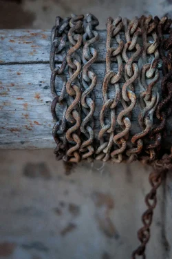Le grincement du puit Détail de chaîne de puits ancien aux Herbiers sous un ciel d'hiver Les Herbiers, 23 janvier 2026