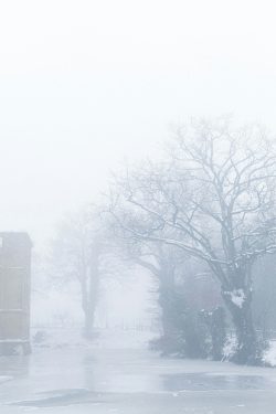 arbre dans la brume sous un ciel neigeux près d'un château Les Herbiers 7 janvier 2026