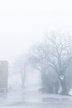 Le gardien arbre dans la brume sous un ciel neigeux près d'un château Les Herbiers 7 janvier 2026