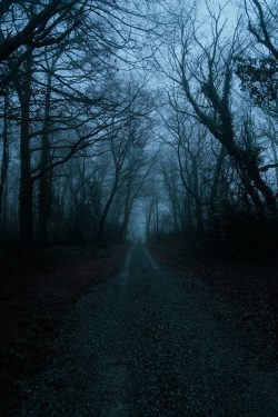 Chemin de campagne désert dans la brume à La Flocellière, le 21 janvier 2026