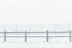 Frontières d'hiver Barrière du terrain de rugby scène épurée en janvier sous la neige L'Etenduère, 7 janvier 2026