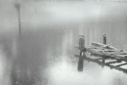 Ponton sur une mare sous la pluie, St Mars la Réorthe 31 janvier 2026