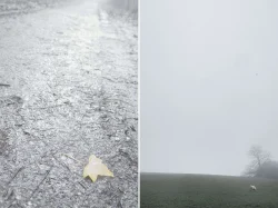 Chemin creux, colline St Michel Mont Mercure, 5 janvier 2026