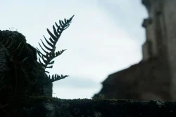 Ruines de l’église sous le ciel hivernal à La Chaize-le-Vicomte 22 janvier 2026