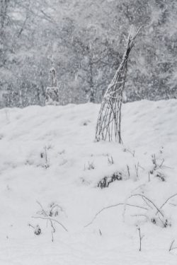 Hello Composition de jardin, Plateau d'Assy 16 février 2026