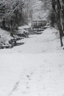 ¨Portail fermé Jardins enneigés, hauteur de Passy 16 février 2026