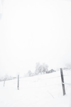 Paysage de neige, Plateau d'Assy 16 février 2026