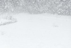 Quand le ciel tombe Paysage de neige, Plateau d'Assy 16 février 2026