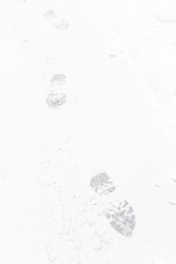 Pas dans la neige, plateau d'Assy 17 février 2026
