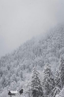 chalet au bord de la montagne, Plateau d'Assy 17 février 2026