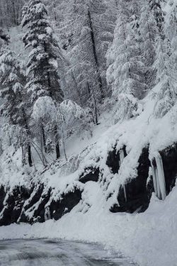 Route enneigée Besse , 13 février 2026