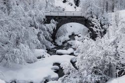Arche en forêt Pont sous le poids de la neige Besse , 13 février 2026