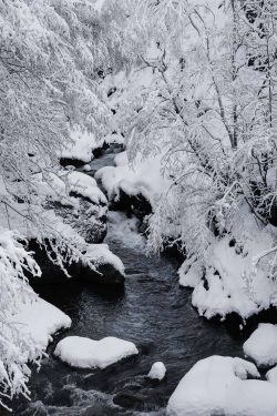 Ruisseau de la Salse Besse 10 février 2026