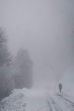 Silhouette tempête, Ornon 14 février 2026