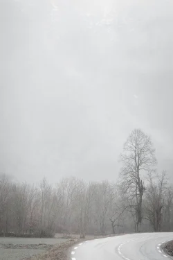 Route sinueuse dans la vallée sous la brume, Entraigues, 11 février 2026