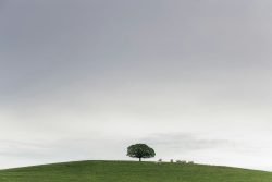 Pouzauges, 10 mai 2026