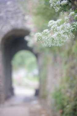 Vouvant, 15 mai 2026