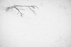 nature, Alpes, février 2026