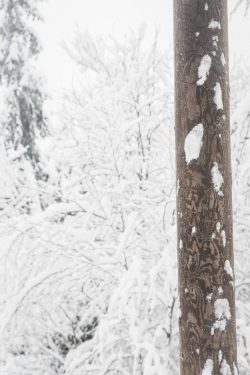 Poteau, Alpes février 2026