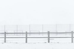jour de neige, Les Herbiers, janvier 2026