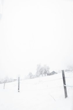 Alpes, nature, février 2026