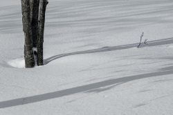 Alpes, nature, février 2026