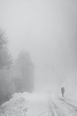 Alpes, nature, février 2026